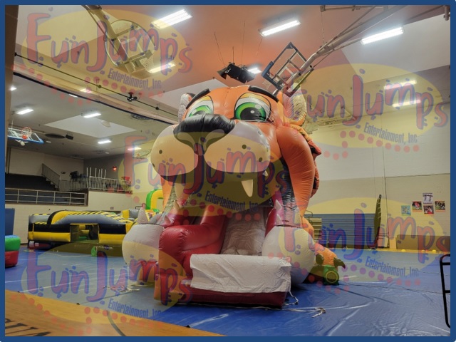 Tiger Slide - 1